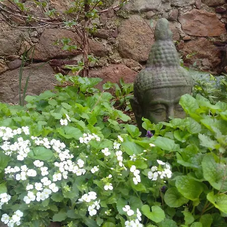 Le Clos De La Source *