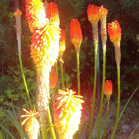 Bed and breakfast Le Clos De La Source Le Bousquet-d'Orb