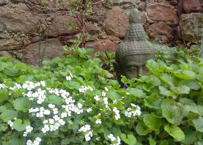 Le Clos De La Source *