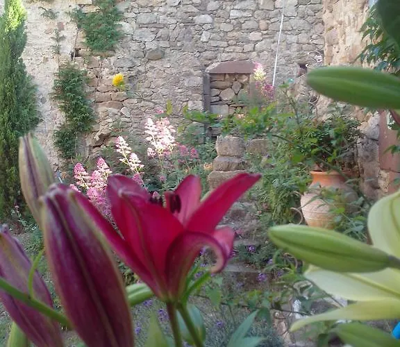 Bed & Breakfast Le Clos De La Source